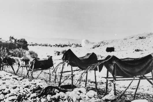 A line of dummy horses constructed in the Jordan Valley during to deceive German and Turkish fliers during occupation between February and September 1918. Courtesy AWM