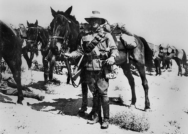A member of the Australian 2nd Light Horse Brigade on active duty in the Middle East in 1917 showing both man and horse in full marching order, usually around 120kg in total.  Courtesy of State Library of Queensland