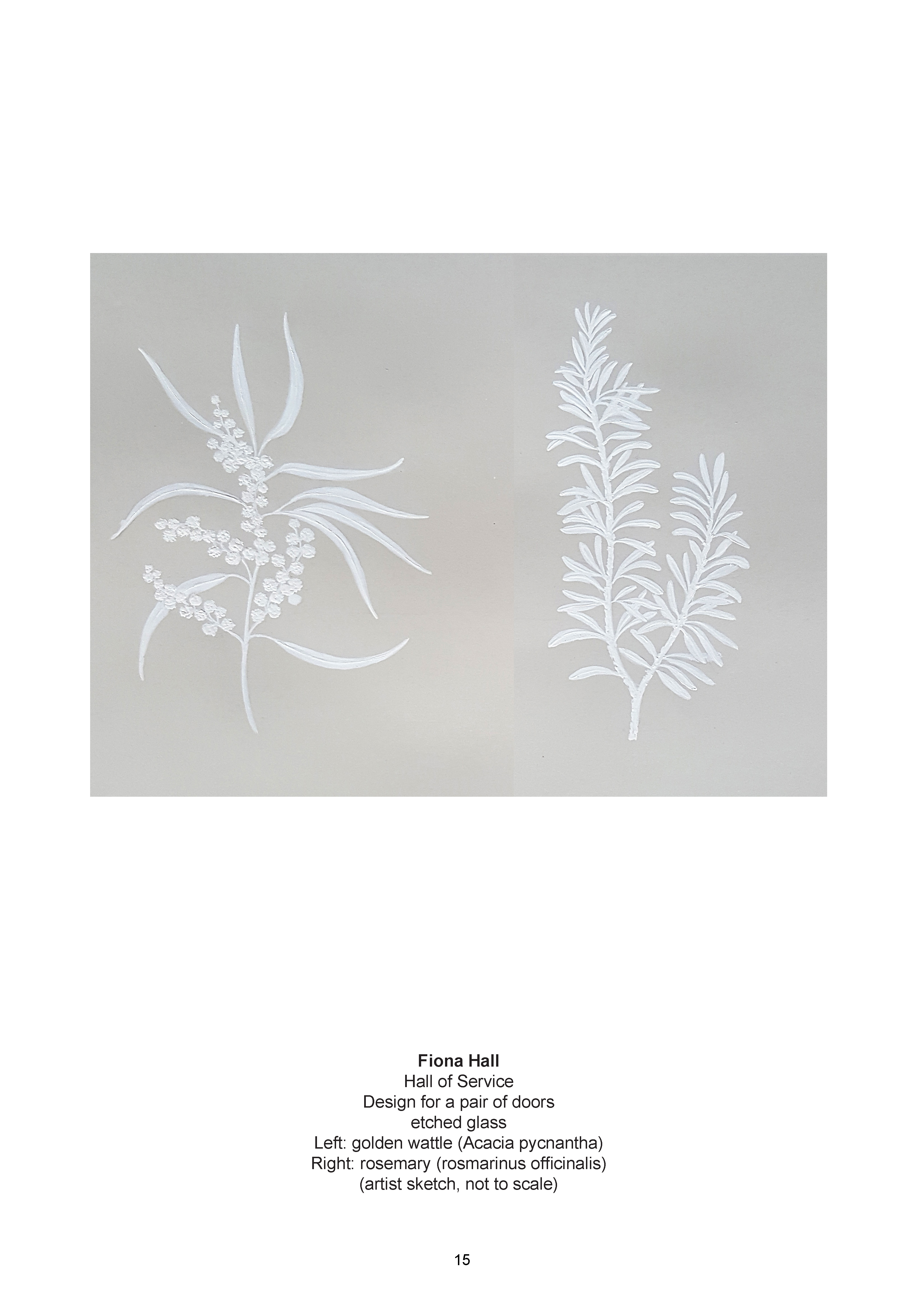 Fiona Hall submission - etched glass door design with wattle and rosemary