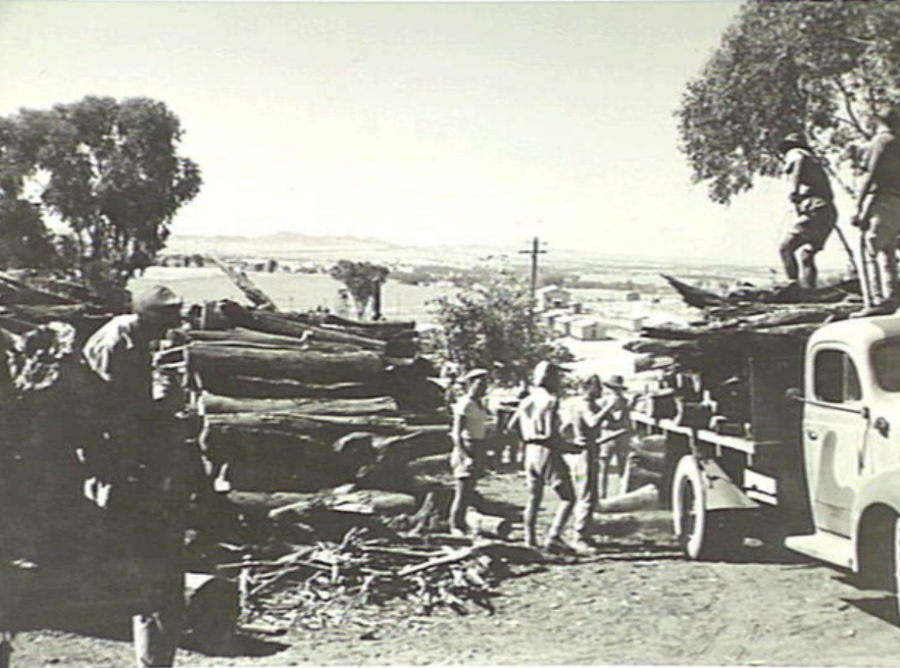 Members of the 114th Australian General Transport Company help Italian prisoners of war to unload logs from an army truck near No. 12 Camp, Cowra, NSW, February 1944. AWM 064298. 