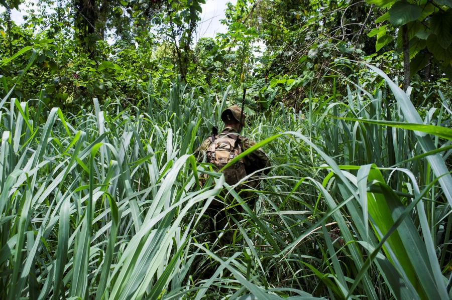 Alex Ormerod; Betikama, Solomon Islands, 2012